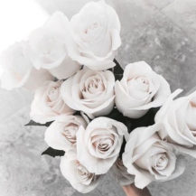 @tally_weijl white roses insta web